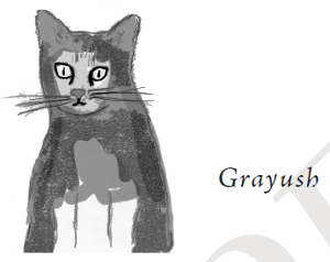 Grayush