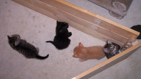 Milling about
