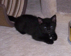 Little Andrew relaxing