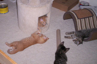 Play break