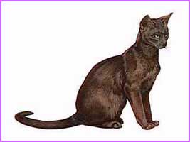 Burmese