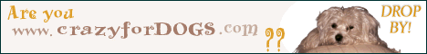 crazyfordogs
